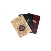 HARRY POTTER - Pack de 3 cahiers A6 - Icons & Map