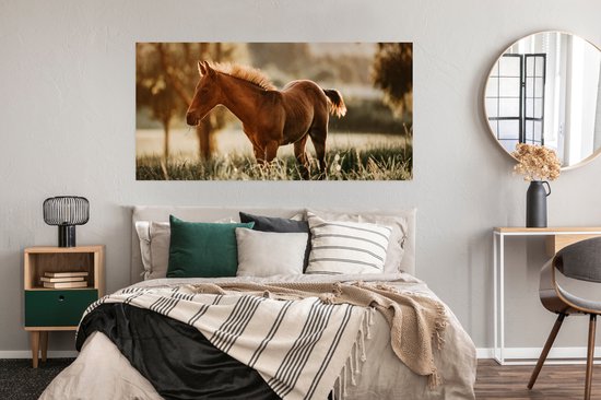 Affiche Cheval - Lumière - Prairie - 160x80 cm