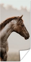 Poster Paard - Mist - Natuur - 20x40 cm