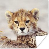 Poster Cheeta - Jong - Portret - 100x100 cm XXL