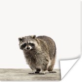 Poster kinderen - Wasbeer - Dieren - witte achtergrond -Jongens - Meisjes - Kinderen - Muurdecoratie kinderkamer - 50x50 cm - Poster kinderkamer - Schilderij voor kinderen