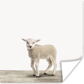 Poster kind - Lammetje - Schaap - Dieren - Kinderen - Meisjes - Jongens - Wanddecoratie meisjes - 50x50 cm - Schilderij voor kinderen - Kinderposter