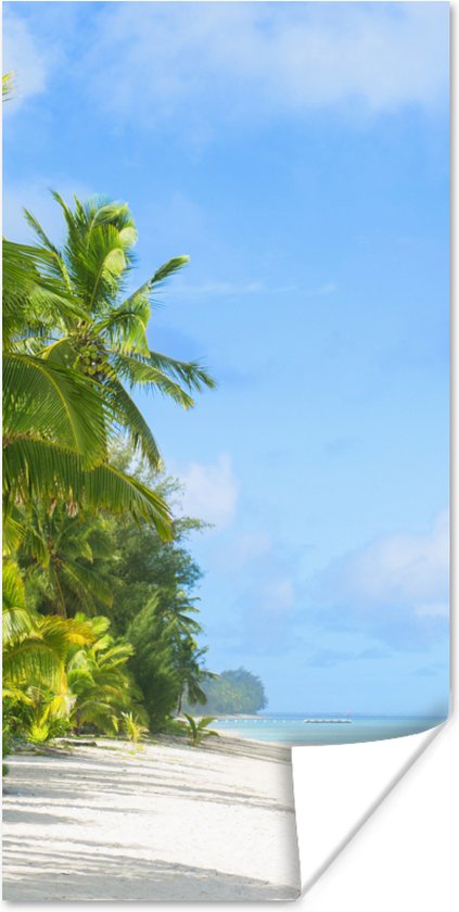 Poster Palmboom - Tropisch - Eiland - 40x80 cm