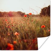 Poster Zonsondergang - Bloemen - Rood - 75x75 cm