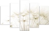 Trend24 - Canvas Schilderij - Blowers - Vijfluik - Bloemen - 100x70x2 cm - Beige