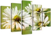 Trend24 - Canvas Schilderij - White Flowers - Vijfluik - Bloemen - 100x70x2 cm - Beige