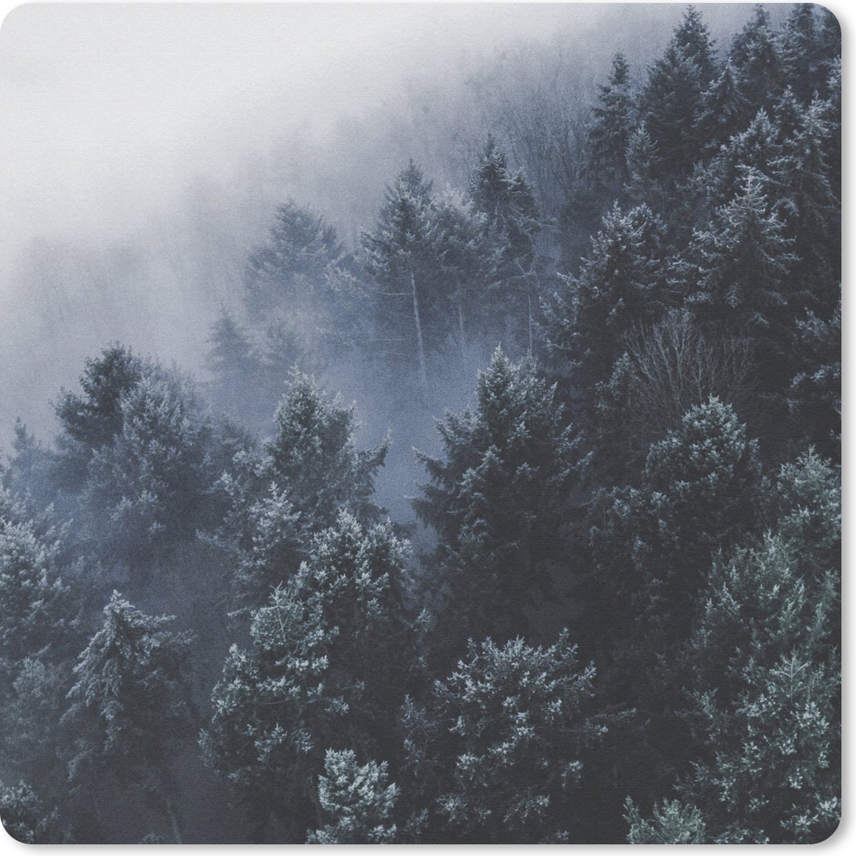 Muismat 30x30 cm - Mousepad Bomen - Mist - Den - Muismatten