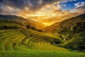 Rice fields of vietnam – 135cm x 90cm - Fotokunst op PlexiglasⓇ incl. certificaat & garantie.