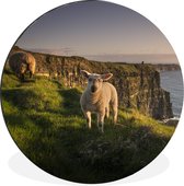 WallCircle - Peinture - Mouton Nature Irlande Dibond En - Multicolore - 90 X 90 Cm