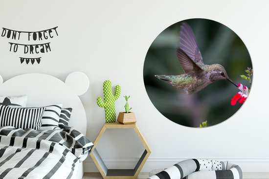 WallCircle - Cercle Mural - Cercle Mural - Colibri - Bloem - Rouge - Aluminium - Dibond - 140x140 cm - Intérieur et Extérieur