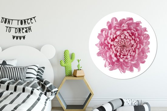 Autocollant de papier peint cercle mural chrysanthème rose ⌀ 140 cm / cercle de papier peint / cercle mural / cercle vivant - auto-adhésif et découpe ronde