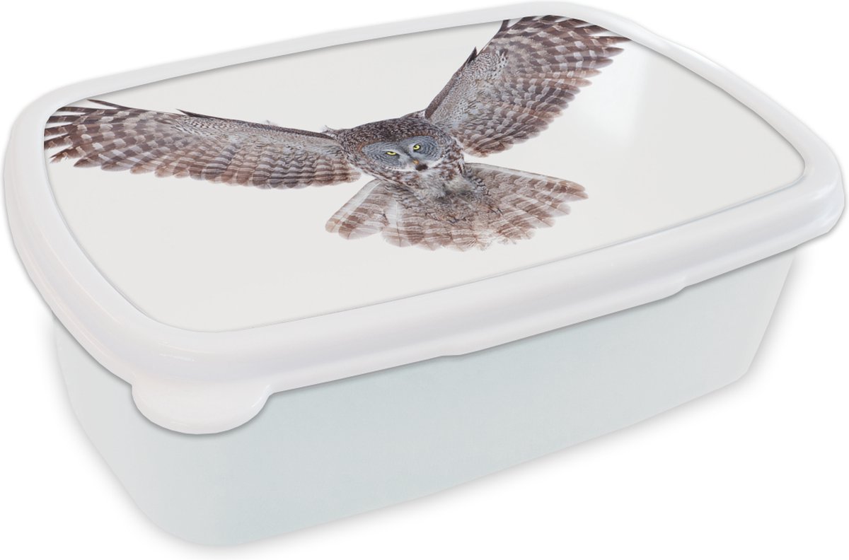 Broodtrommel Wit - Lunchbox - Brooddoos - Vliegende uil - 18x12x6 cm - Volwassenen