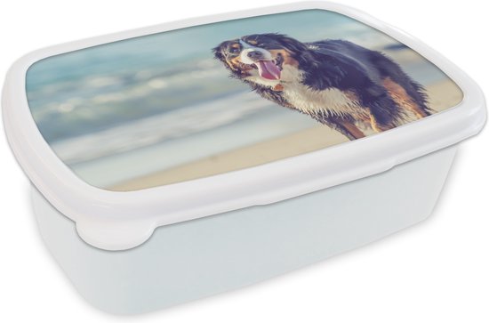 Boîte à pain Wit - Boîte à lunch - Boîte à pain - Un Berner se promène sur la plage - 18x12x6 cm - Adultes