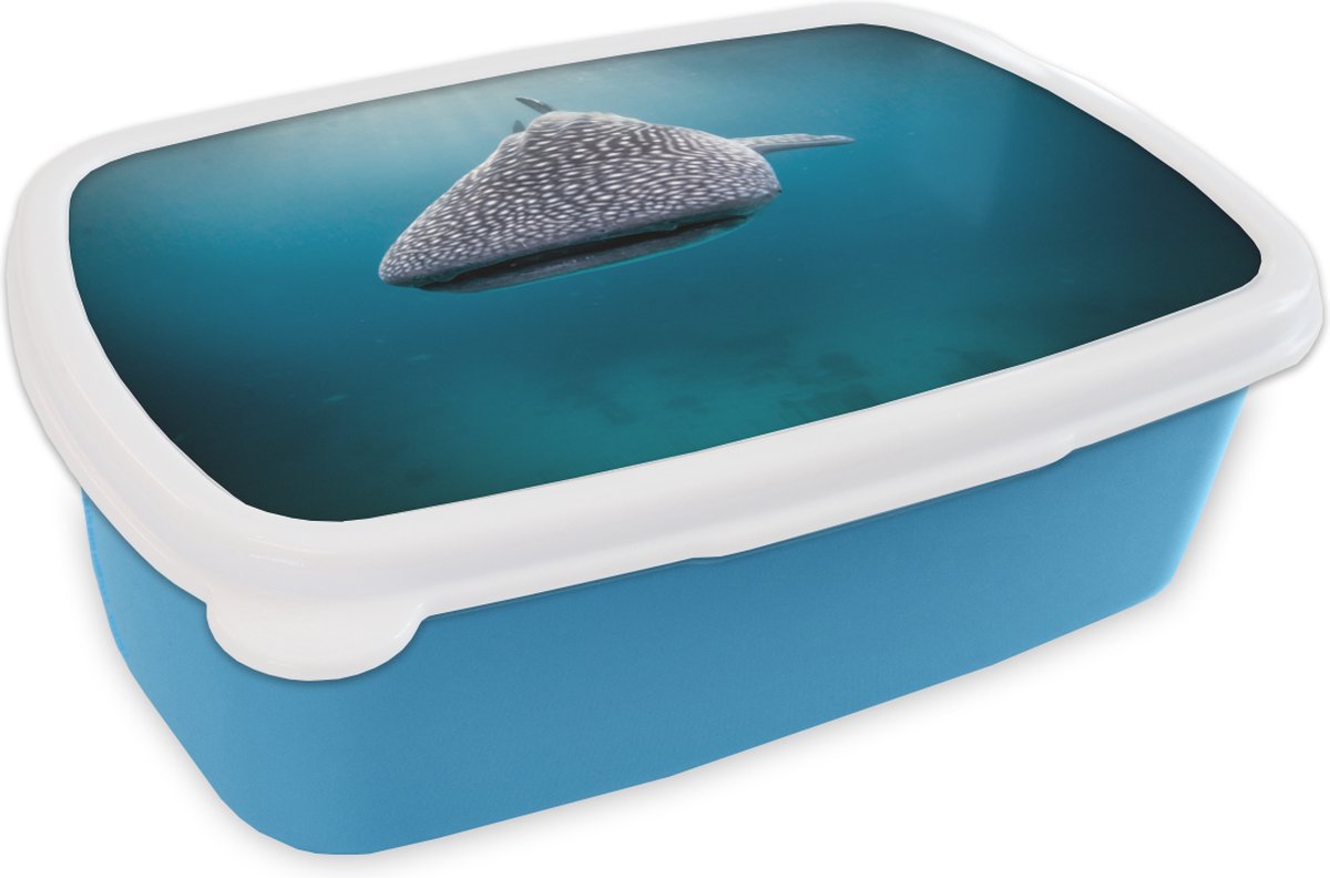 Broodtrommel Blauw - Lunchbox - Brooddoos - Walvishaai - 18x12x6 cm - Kinderen - Jongen