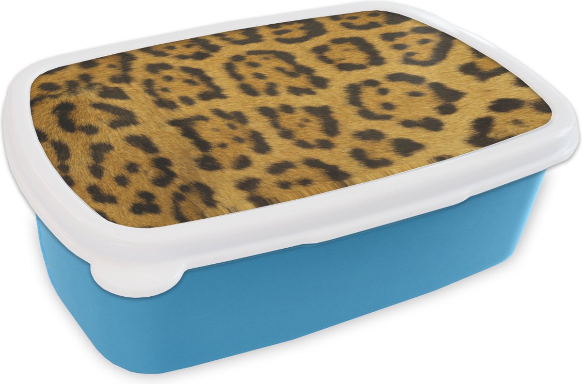 Broodtrommel Blauw - Lunchbox - Brooddoos - Luipaard vacht - 18x12x6 cm - Kinderen - Jongen