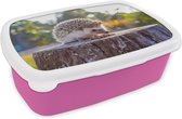 Broodtrommel Roze - Lunchbox - Brooddoos - Etende egel - 18x12x6 cm - Kinderen - Meisje