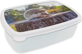 Boîte à pain Wit - Boîte à lunch - Boîte à pain - Hérisson mangeur - 18x12x6 cm - Adultes