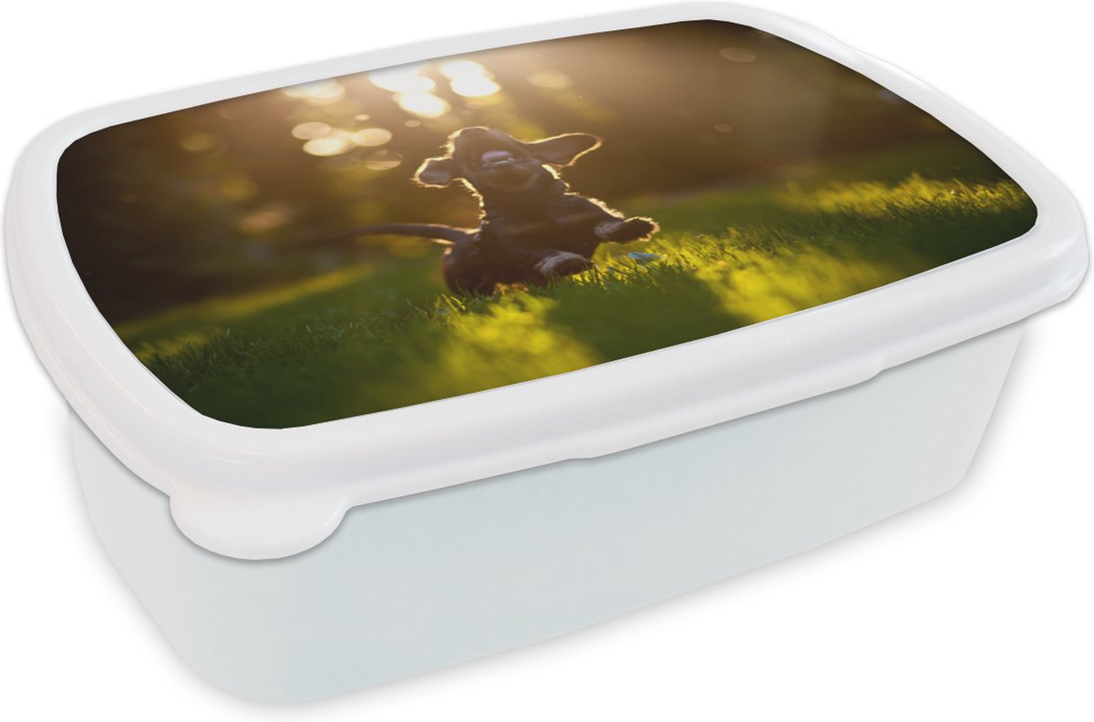 Broodtrommel Wit - Lunchbox - Brooddoos - Puppy rent in het gras - 18x12x6 cm - Volwassenen