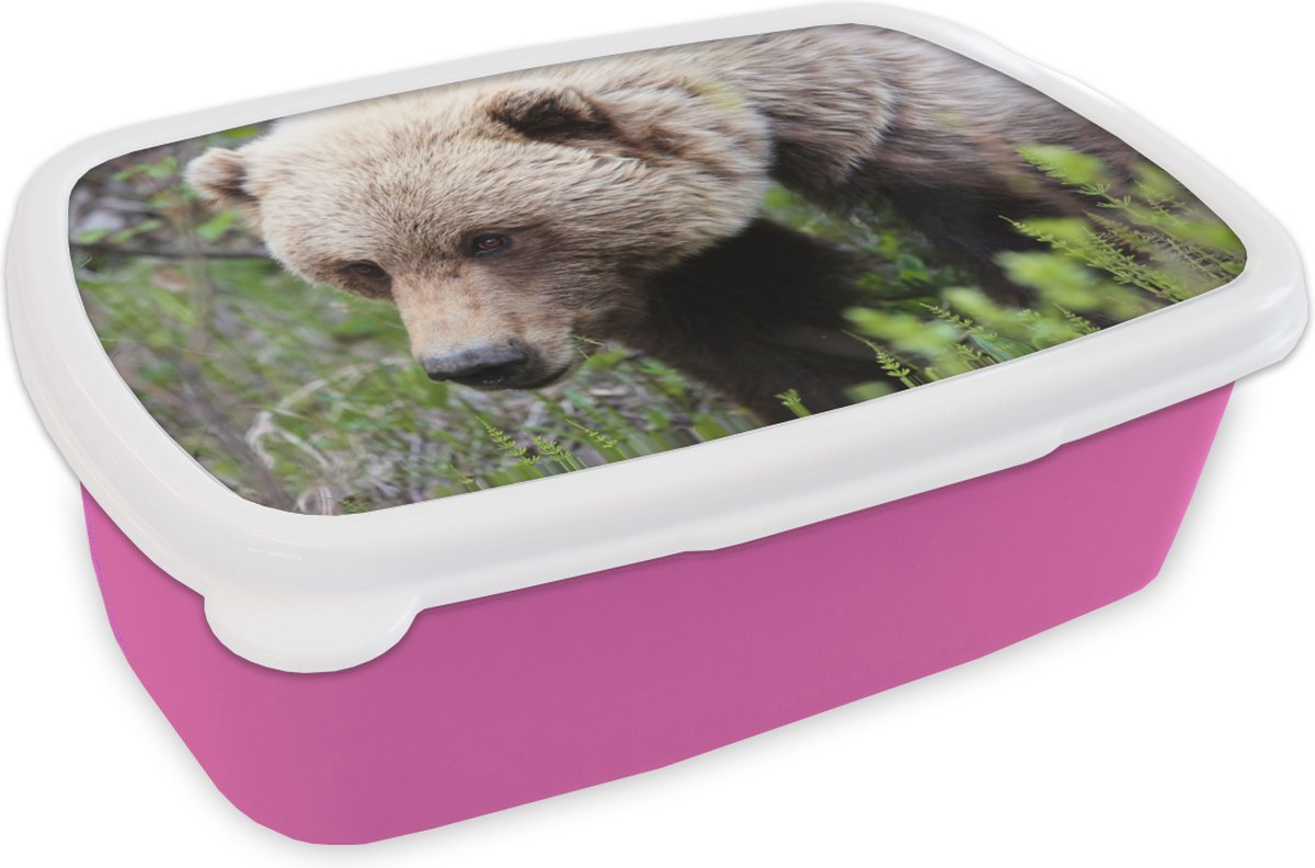 Broodtrommel Roze - Lunchbox - Brooddoos - Beer - Grizzly - Bos - 18x12x6 cm - Kinderen - Meisje