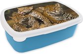 Broodtrommel Blauw - Lunchbox - Brooddoos - Luipaard - Wilde dieren - Natuur - 18x12x6 cm - Kinderen - Jongen