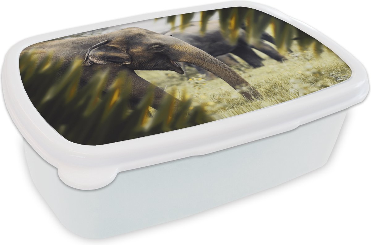 Broodtrommel Wit - Lunchbox - Brooddoos - Olifant - Natuur - Bladeren - 18x12x6 cm - Volwassenen