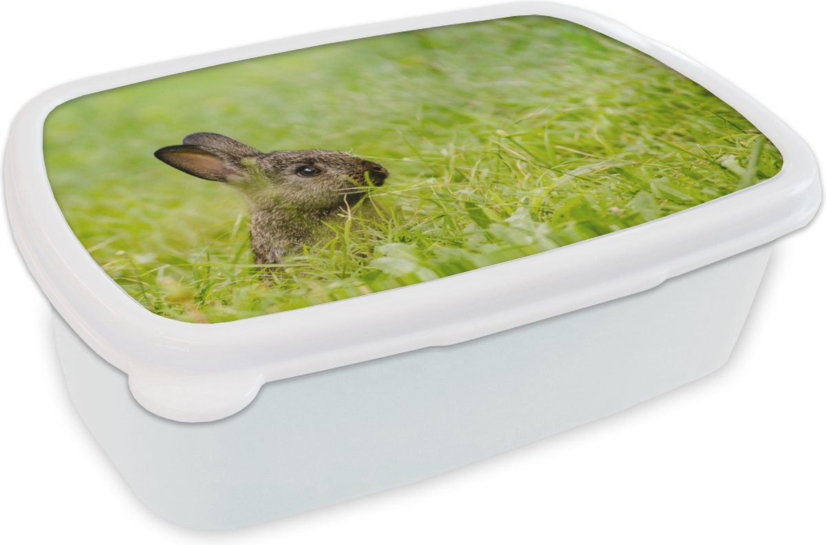 Broodtrommel Wit - Lunchbox - Brooddoos - Konijn - Baby - Gras - 18x12x6 cm - Volwassenen