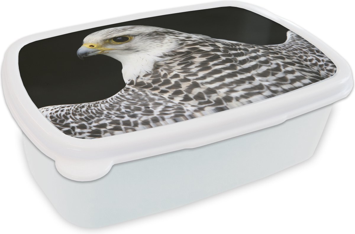Broodtrommel Wit - Lunchbox - Brooddoos - Valk - Roofvogel - Jagen - 18x12x6 cm - Volwassenen