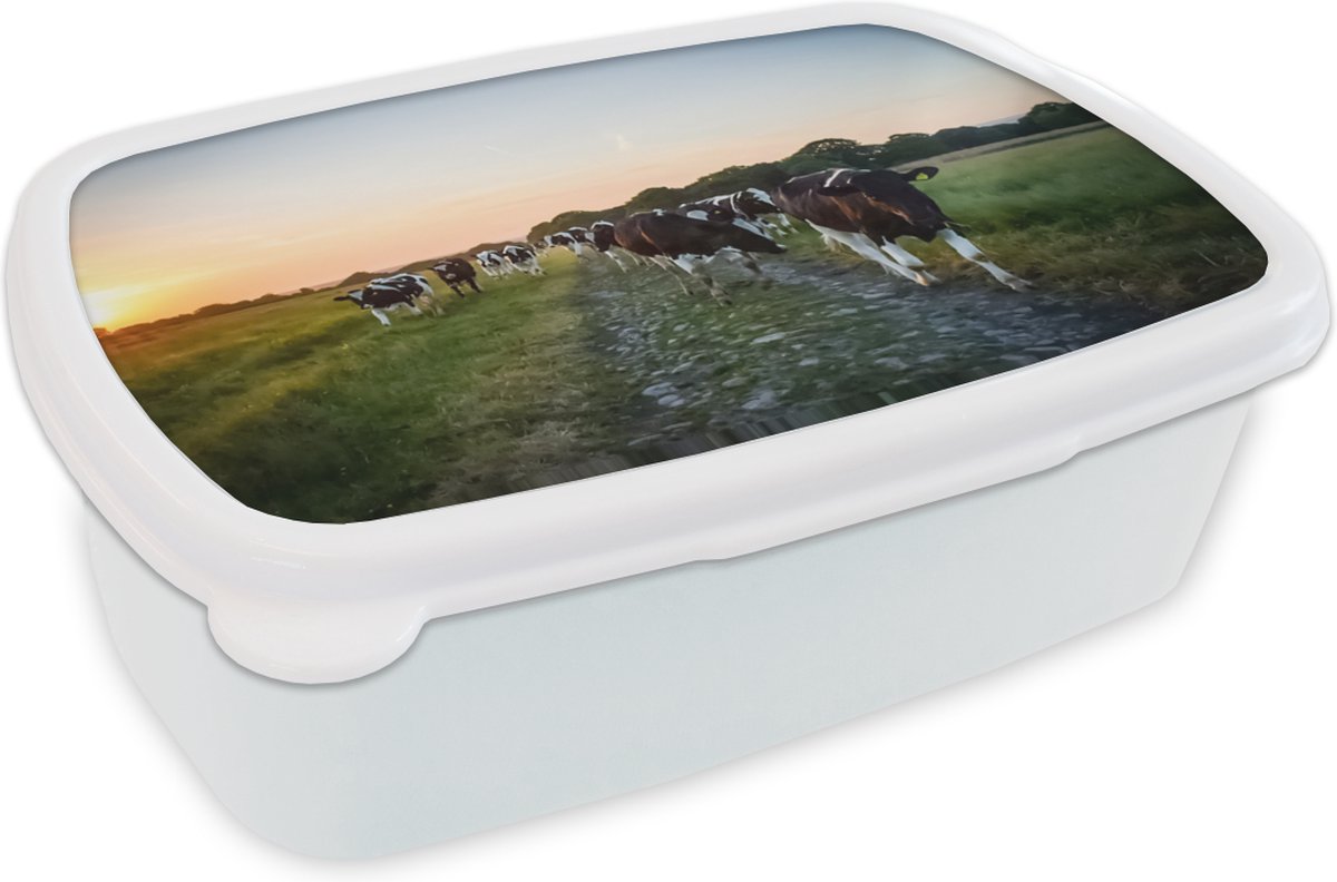 Broodtrommel Wit - Lunchbox - Brooddoos - Koeien - Zon - Weg - 18x12x6 cm - Volwassenen
