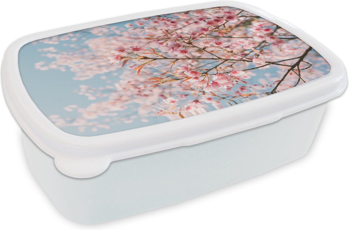 Broodtrommel Wit - Lunchbox - Brooddoos - Sakura - Lente - Takken - 18x12x6 cm - Volwassenen