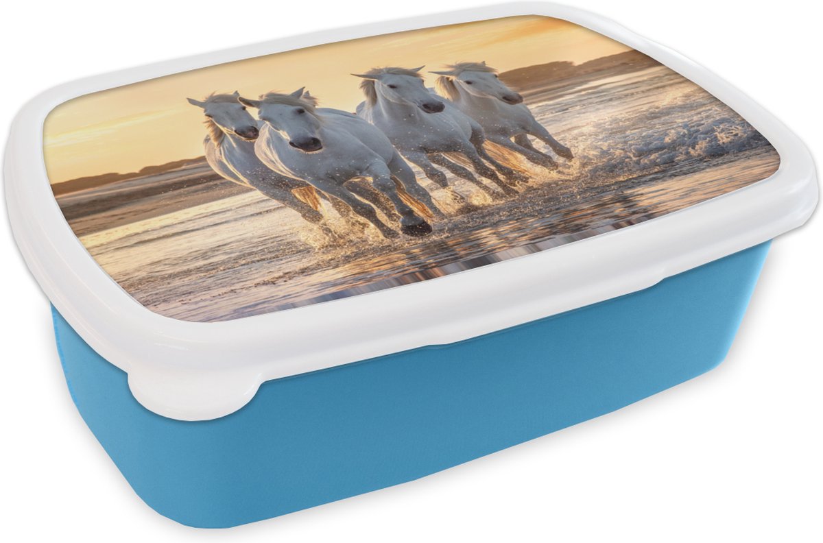 Broodtrommel Blauw - Lunchbox - Brooddoos - Paarden - Water - Strand - Dieren - 18x12x6 cm - Kinderen - Jongen