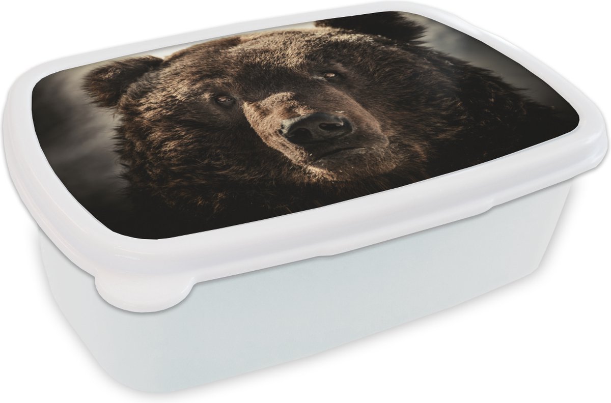 Broodtrommel Wit - Lunchbox - Brooddoos - Beer - Vacht - Bruin - 18x12x6 cm - Volwassenen