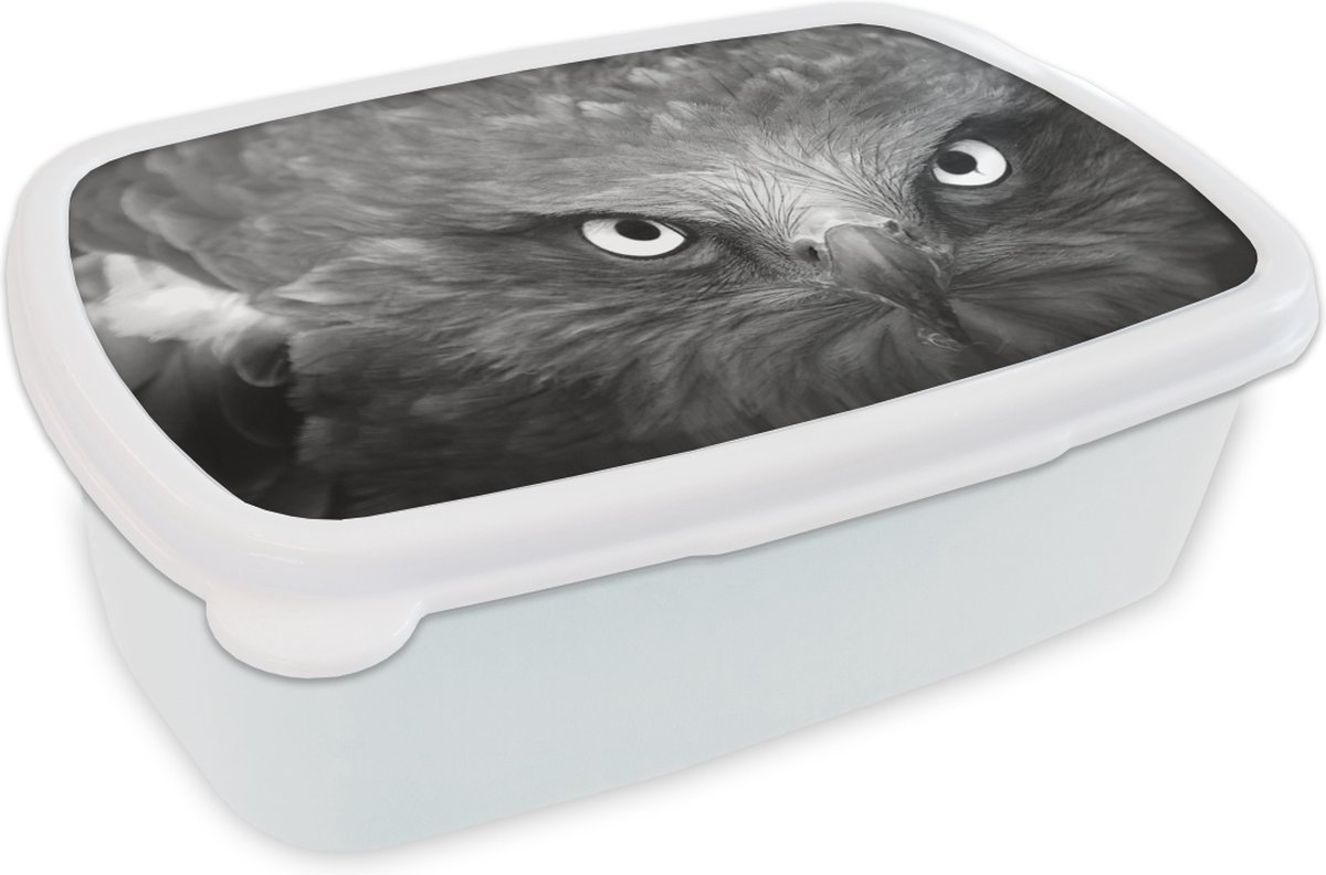 Broodtrommel Wit - Lunchbox - Brooddoos - Arend - Zwart - Wit - 18x12x6 cm - Volwassenen