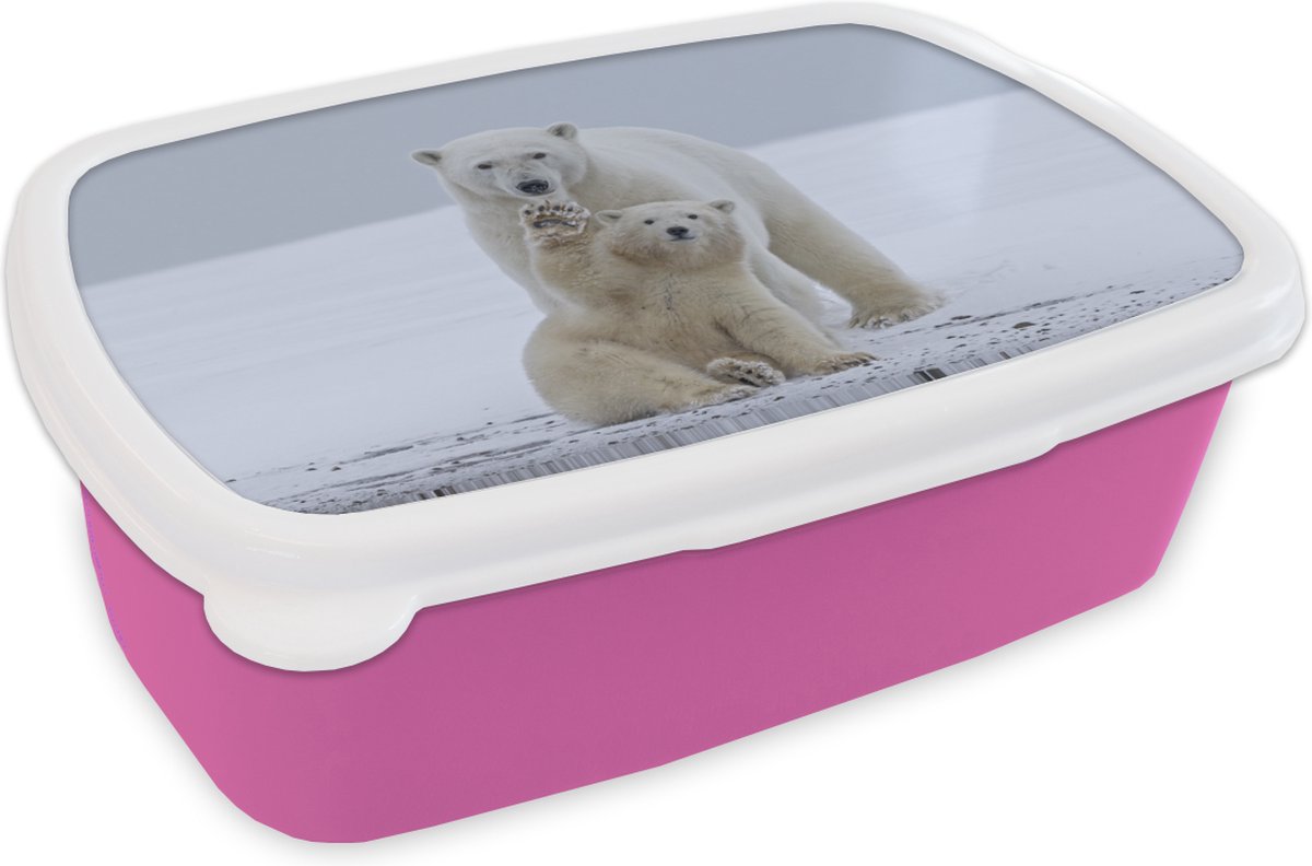 Broodtrommel Roze - Lunchbox - Brooddoos - IJsbeer - Kind - Sneeuw - 18x12x6 cm - Kinderen - Meisje