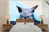 Behang - Fotobehang Een slaperige Sphynx kat op de bank - Breedte 240 cm x hoogte 240 cm