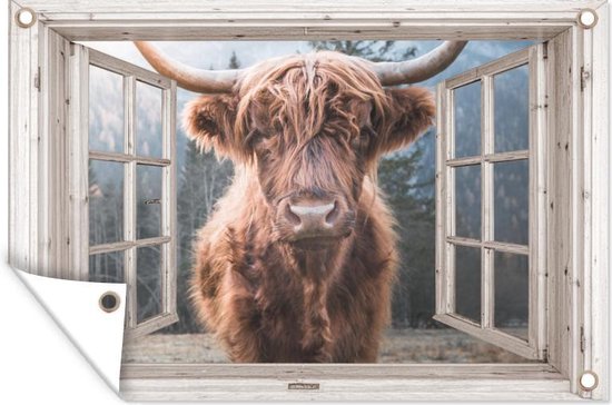 Affiche de jardin Scottish Highlander - Vache - Berg - Transparent - 120x80 cm