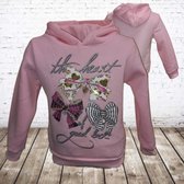 Papillon Meisjes trui heart roze -Papillon-146/152-Hoodie meisjes