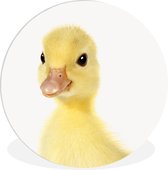 Cercle Mural - Cercle Mural Intérieur - Animaux - Canard - Jaune - ⌀ 90 cm - Décoration murale - Peintures Ronds