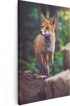 Artaza Peinture sur Toile Renard dans la Forêt près de Pierres - 40x60 - Photo sur Toile - Impression sur Toile