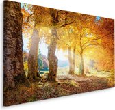 Schilderij - Herfstbos, bruin/geel, 4 maten, premium print