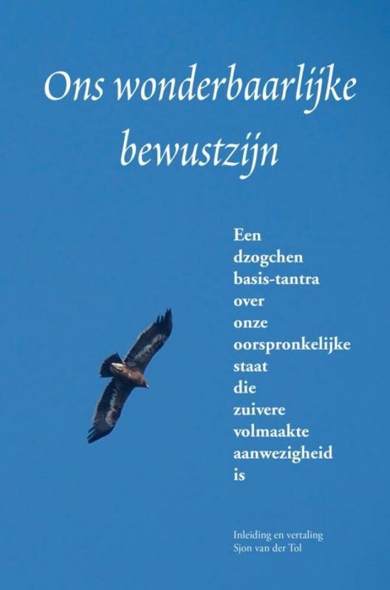 Ons wonderbaarlijke bewustzijn