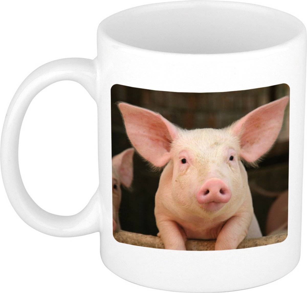 Dieren varken foto mok 300 ml - cadeau beker / mok varkens liefhebber