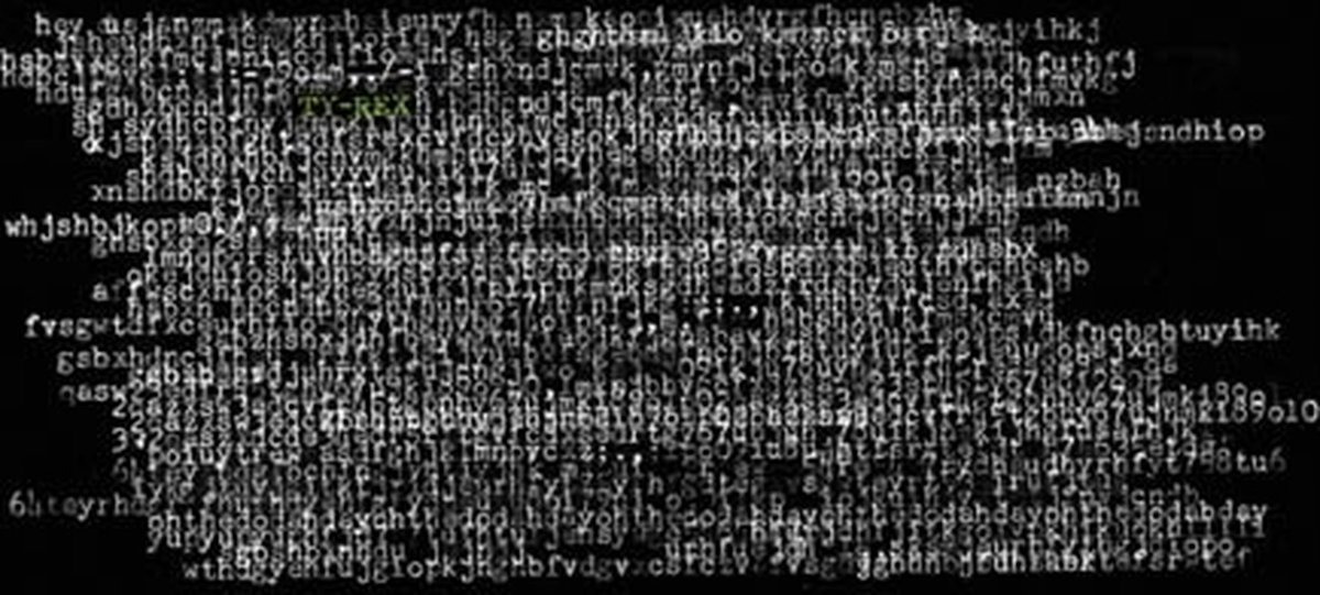 Ty Segall - Ty-Rex (CD)