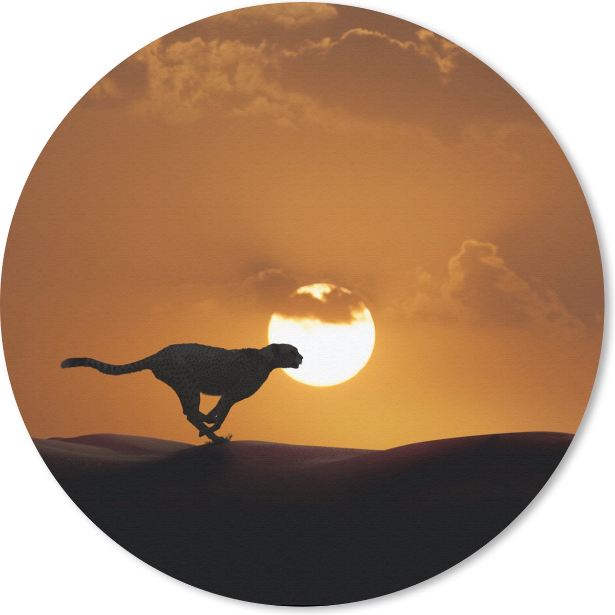 Muismat rond 20x20 cm - Mousepad Silhouet van een cheeta in de woestijn - Ronde muismatten