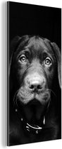 Wanddecoratie Metaal - Aluminium Schilderij Industrieel - Dierenprofiel hond in zwart-wit - 80x160 cm - Dibond - Foto op aluminium - Industriële muurdecoratie - Voor de woonkamer/slaapkamer