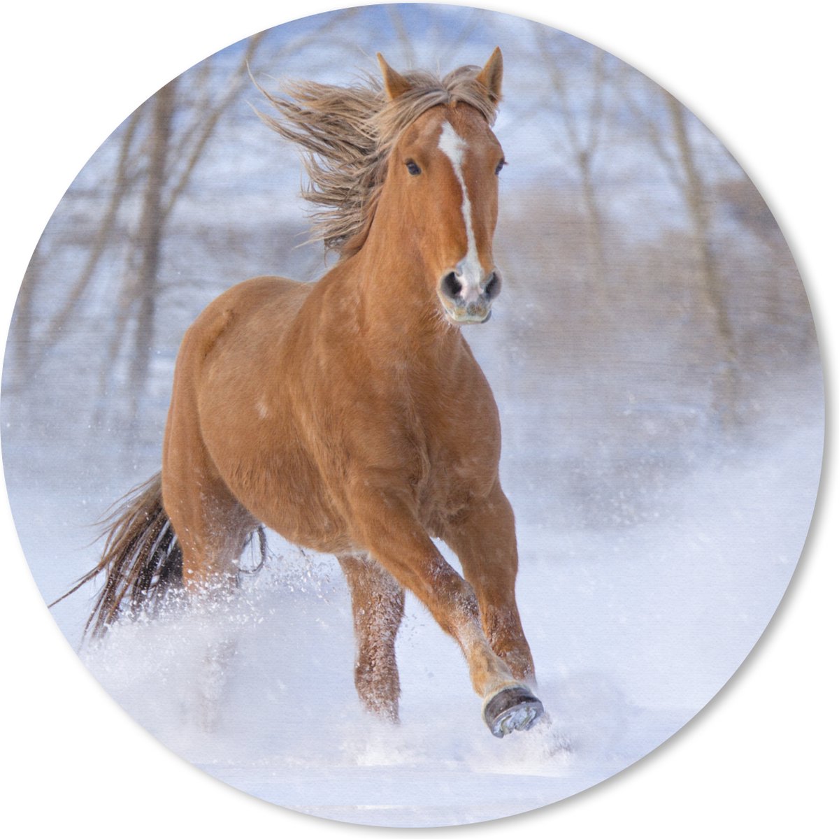 Muismat rond 40x40 cm - Mousepad Paard - Sneeuw - Bruin - Ronde muismatten