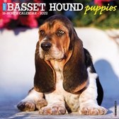 Basset Hound Puppies Kalender 2022