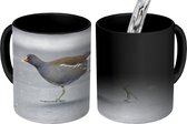 Magische Mok - Foto op Warmte Mok - Een waterhoen loopt over het ijs - 350 ML