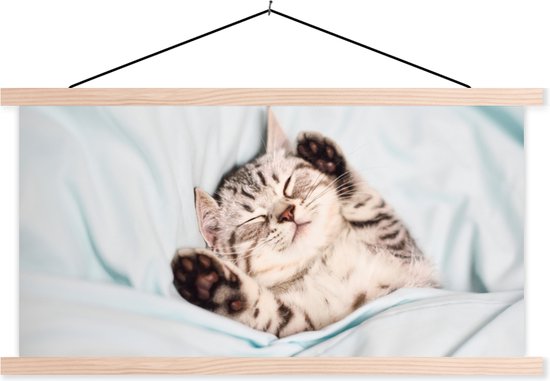 Porte-affiche avec affiche - Affiche scolaire - Chaton - Lit - Pieds - Filles - Enfants - Garçons - Enfant - 120x60 cm - Lattes blanches