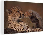 Canvas Schilderij Cheeta moeder en welp - 90x60 cm - Wanddecoratie