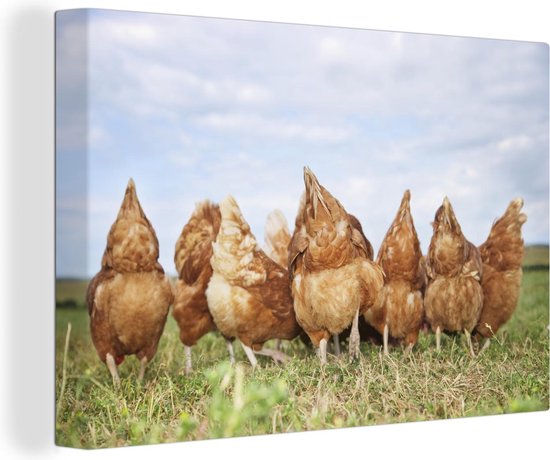 Canvas Schilderij Kippen in het veld - Wanddecoratie